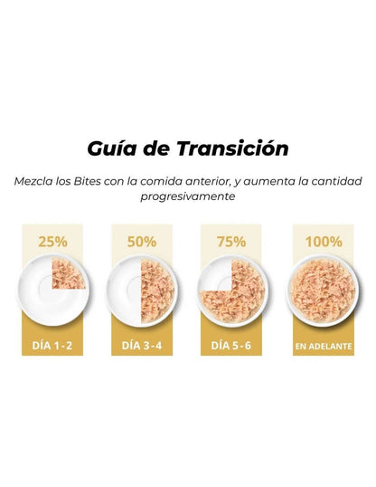 Comida húmeda para gatos Fillet atún en caldo Cuisine 75 g Catit