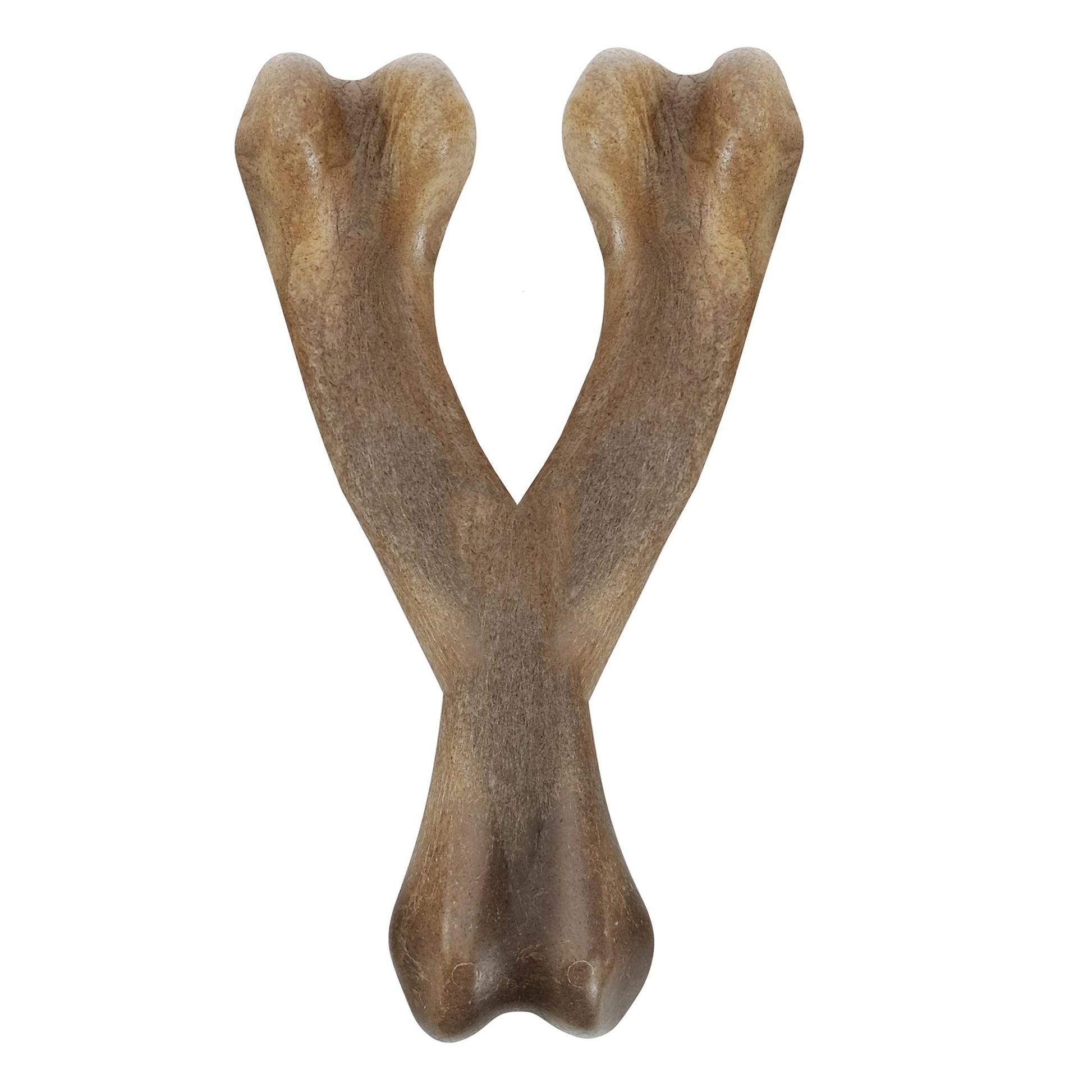 Zeus Nosh Strong Hueso Y, Bacon M, 15cm