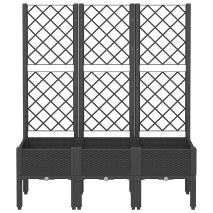 Jardinera Con Enrejado Pp Negro 120x40x142 Cm_2