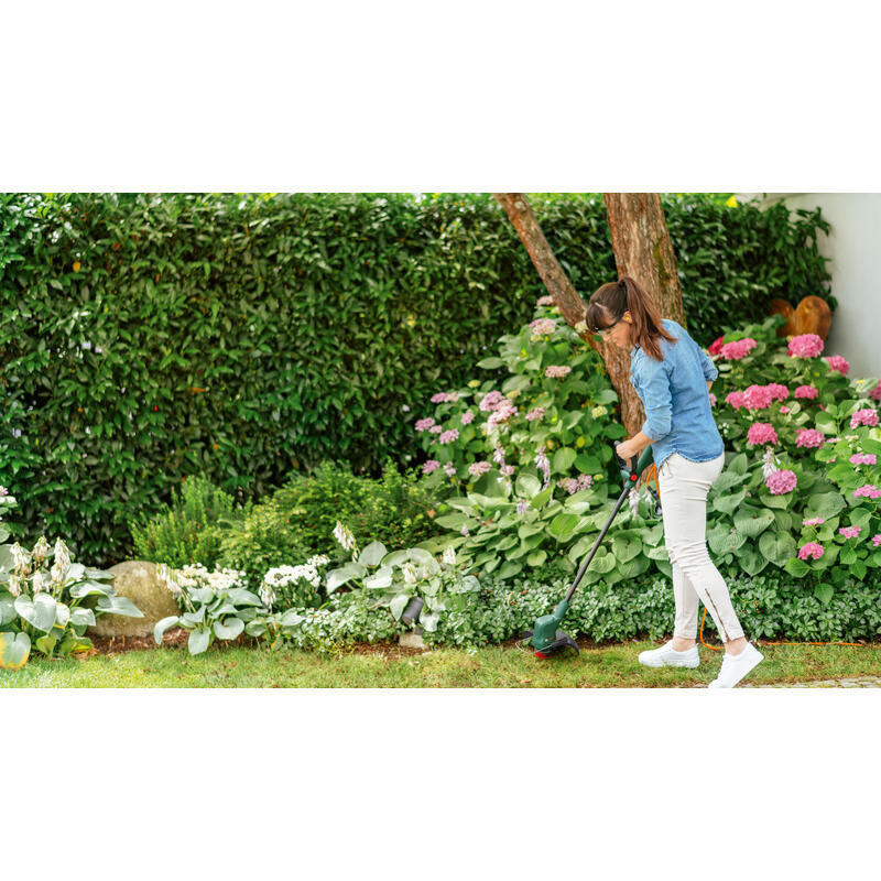 Bosch Easygrasscut 18v-26 Solo_2