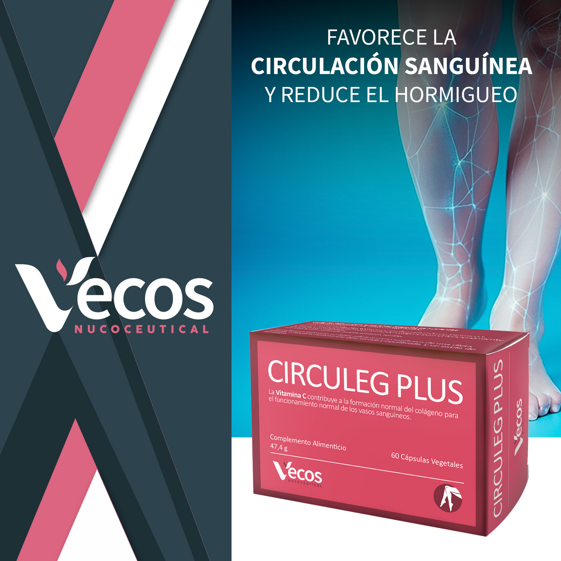 Circuleg Plus VECOS (60 cápsulas) | Piernas ligeras y Prevención de Varices | Uva, Rusco, Ginkgo y Vitamina C_1