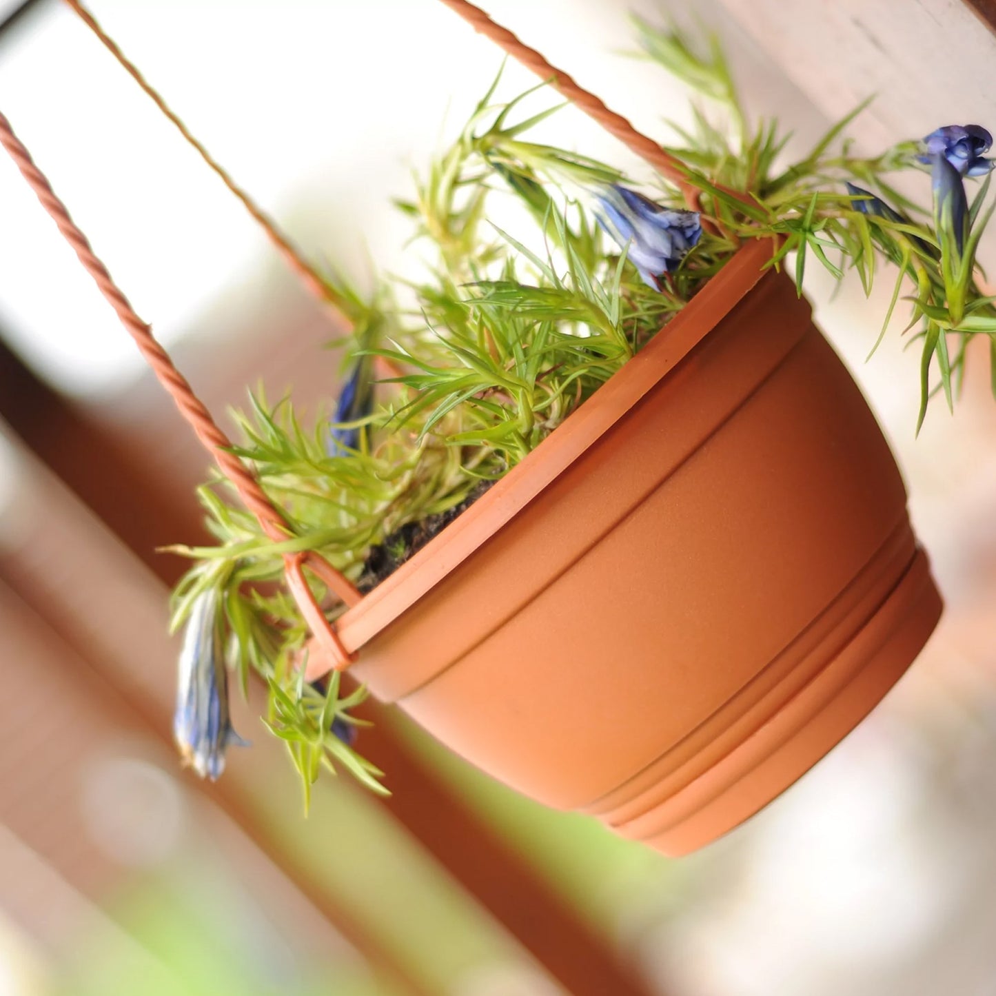 Macetero Colgante Agro 1,2l., Dimensiones (mm) 180x180x115, Color Terracota_3