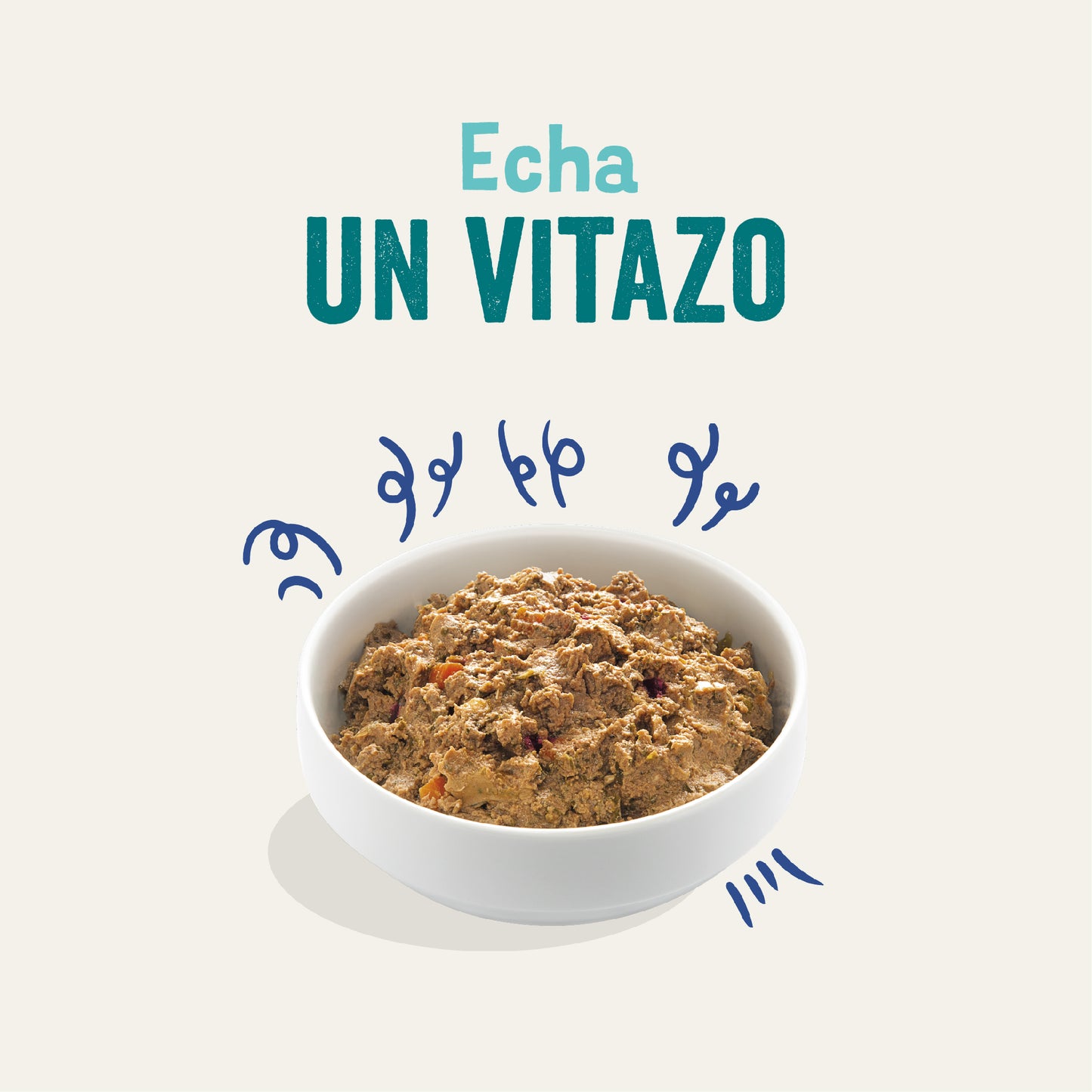 Tarrina de comida para perros con salmón y pavo sin cereales | Edgard & Cooper 150 g