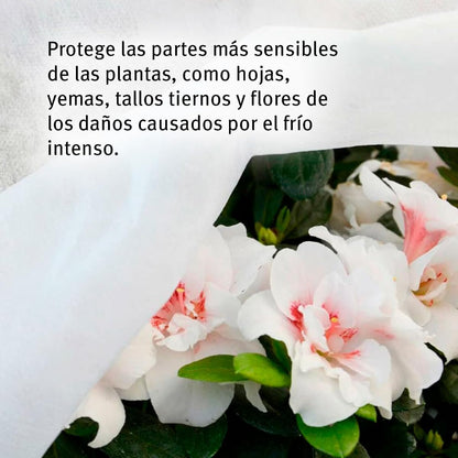 Tela protección de cultivos antiheladas Biotop 4 x 10 m 17 g/m²