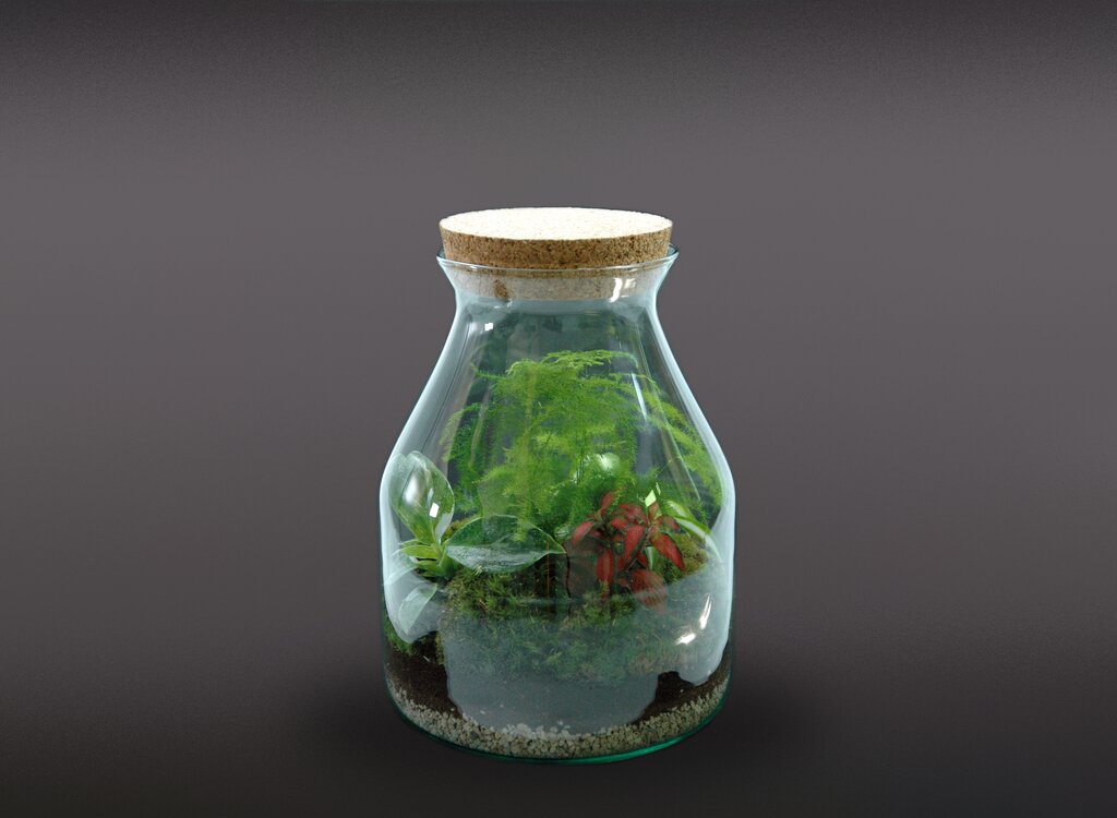 Nanogarden Terrario Bottle Withe Mix 26x20cm