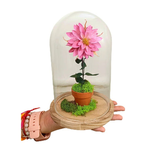 Mundo Eterno Dalia Rosa En Cúpula 12x20cm_0