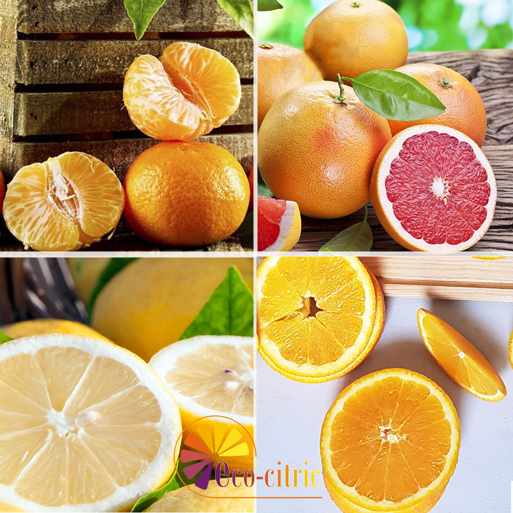 Combi Naranja, Mandarina, Limón Y Pomelo 20kg. ecológico_0