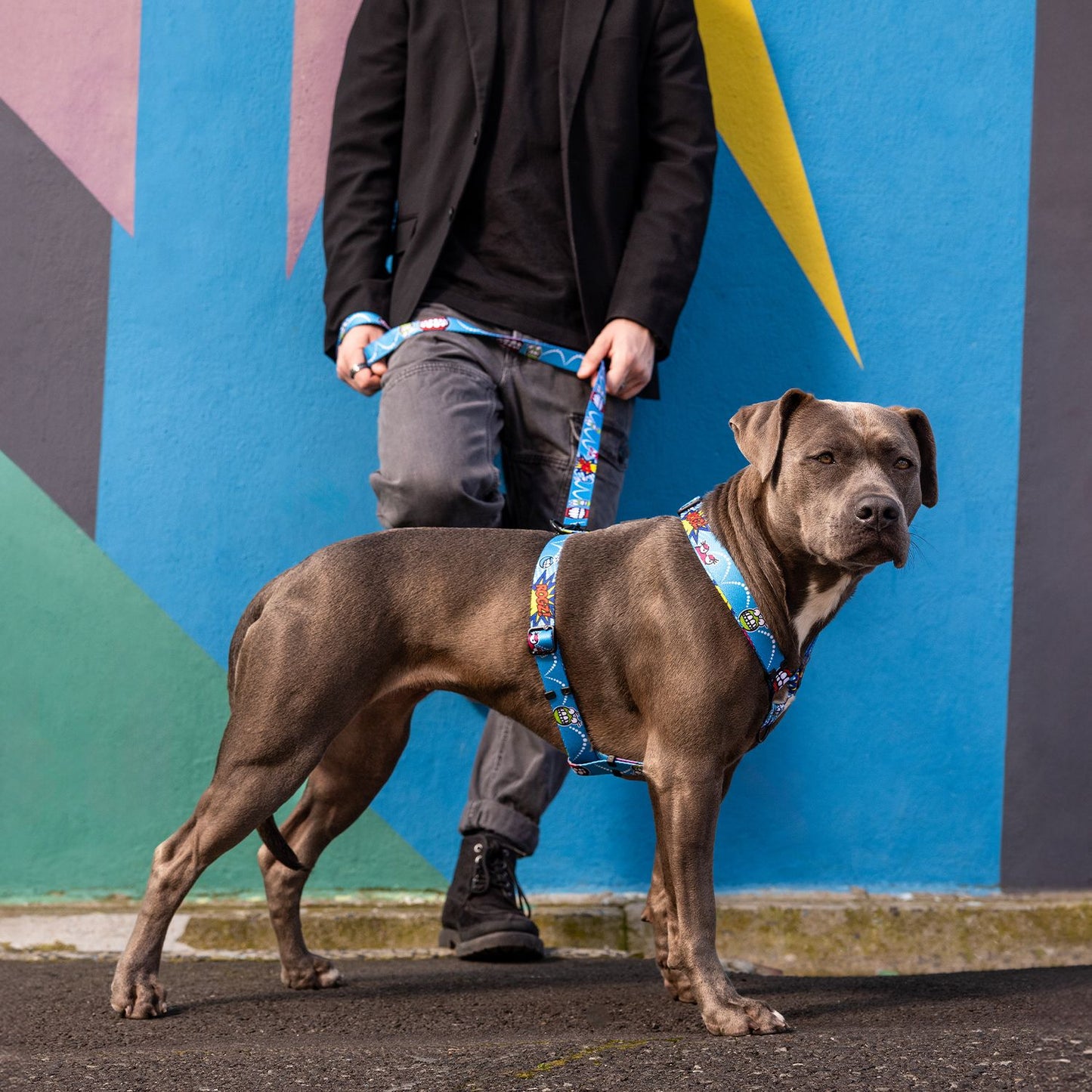 Arnés Para Perro, Modelo Fusion De Rogz, Estampado Comic Azul. Talla S (8-14kg)_3