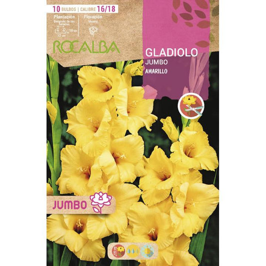 Bulbo Gladiolo Jumbo Amarillo 10 unidades (16/18)