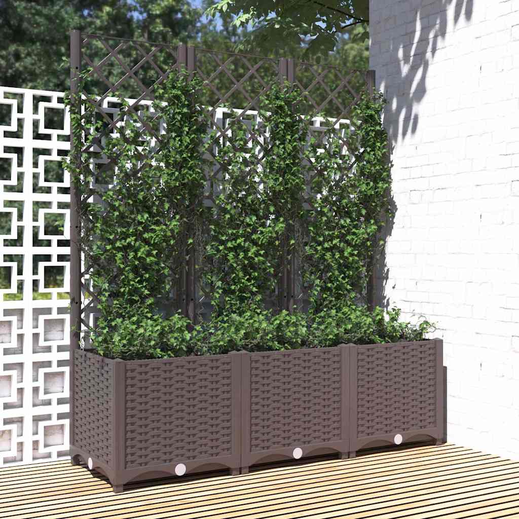 Jardinera De Jardín Con Enrejado Marrón 120x40x136 Cm Pp_1