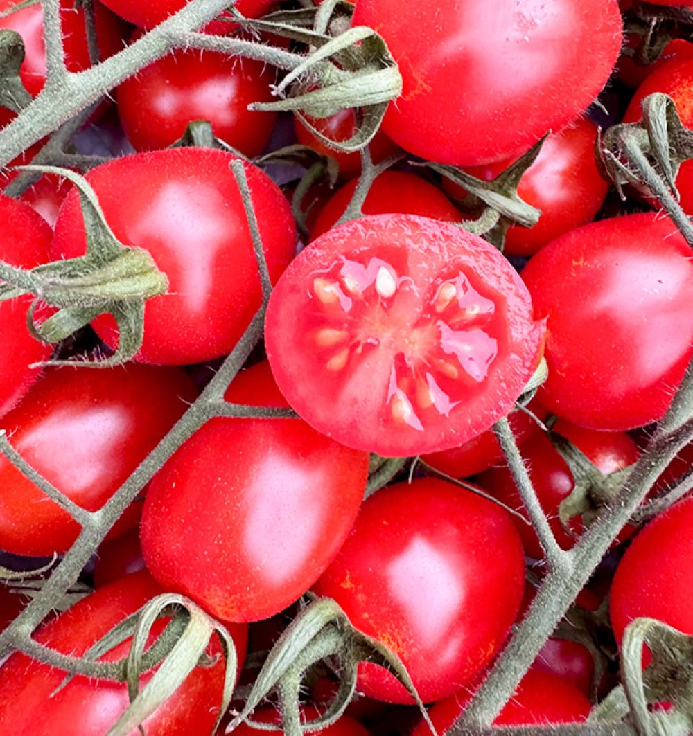 Caja De Tomates Cherry En Rama Tropitop Caja De 4kg_5