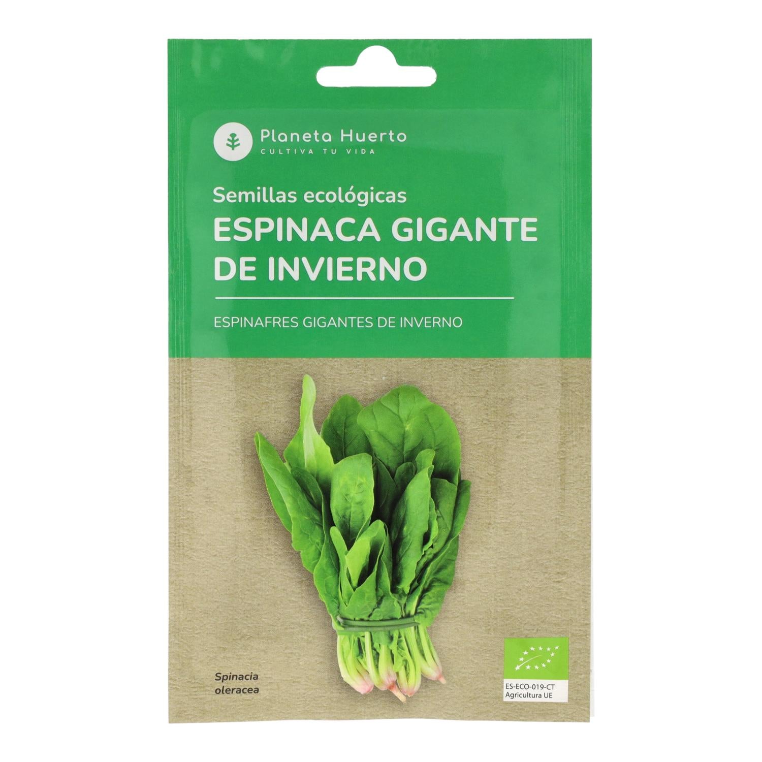 Pack "Semillero y Trasplante de Otoño"