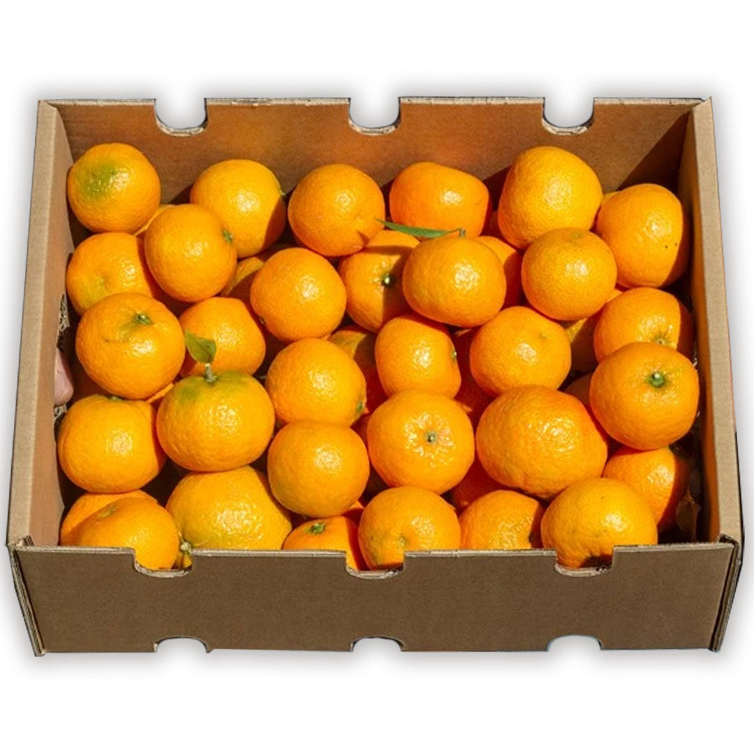 Mandarinas Clementinas Clemenules De Castellón Tropitop 4kg_0