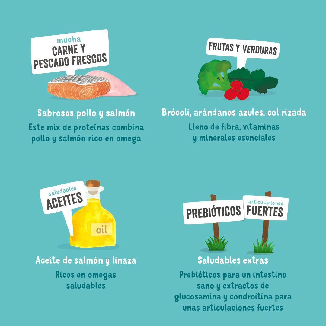 Lata de comida para perros senior con pollo y salmón sin cereales | Edgard & Cooper 400 g