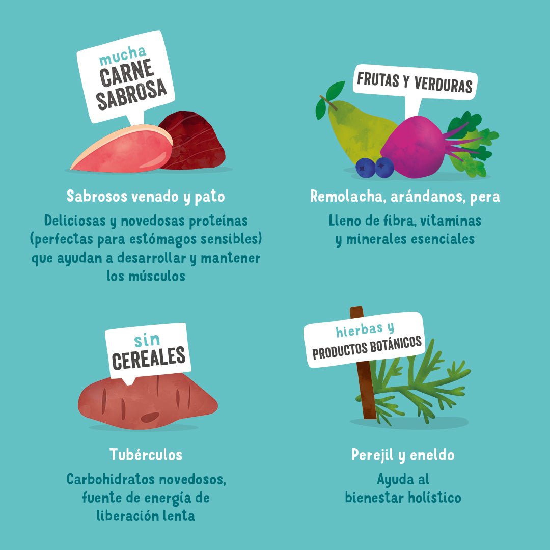 Lata de comida para perros con carne de caza y pato sin cereales | Edgard & Cooper 400 g