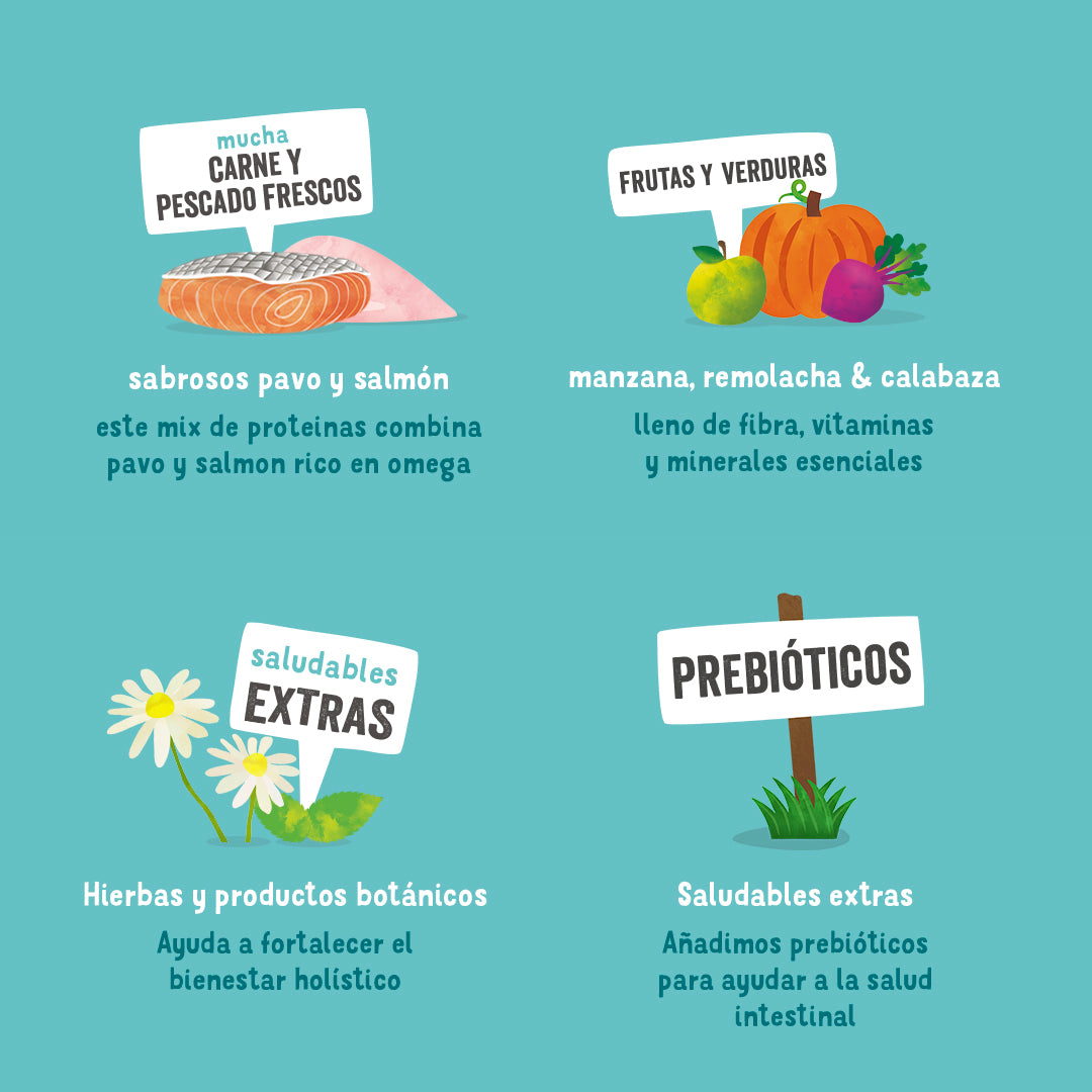 Lata de comida para perros con salmón y pavo sin cereales | Edgard & Cooper 400 g