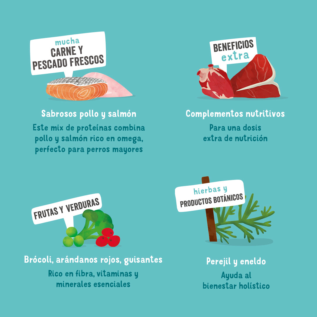 Tarrina de comida para perros de pollo y salmón | Edgard & Cooper 150 g