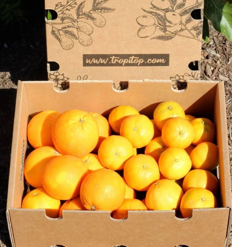 Mix Naranjas Y Mandarinas Valencianas Tropitop 4kg_1
