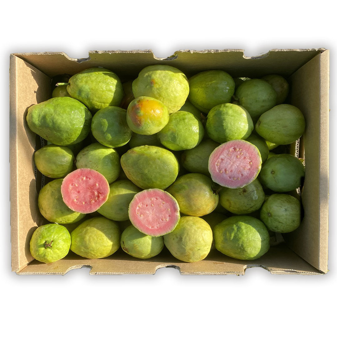 Caja De Guayabas Directas Del Agricultor | Tropitop Caja de 9kg_0