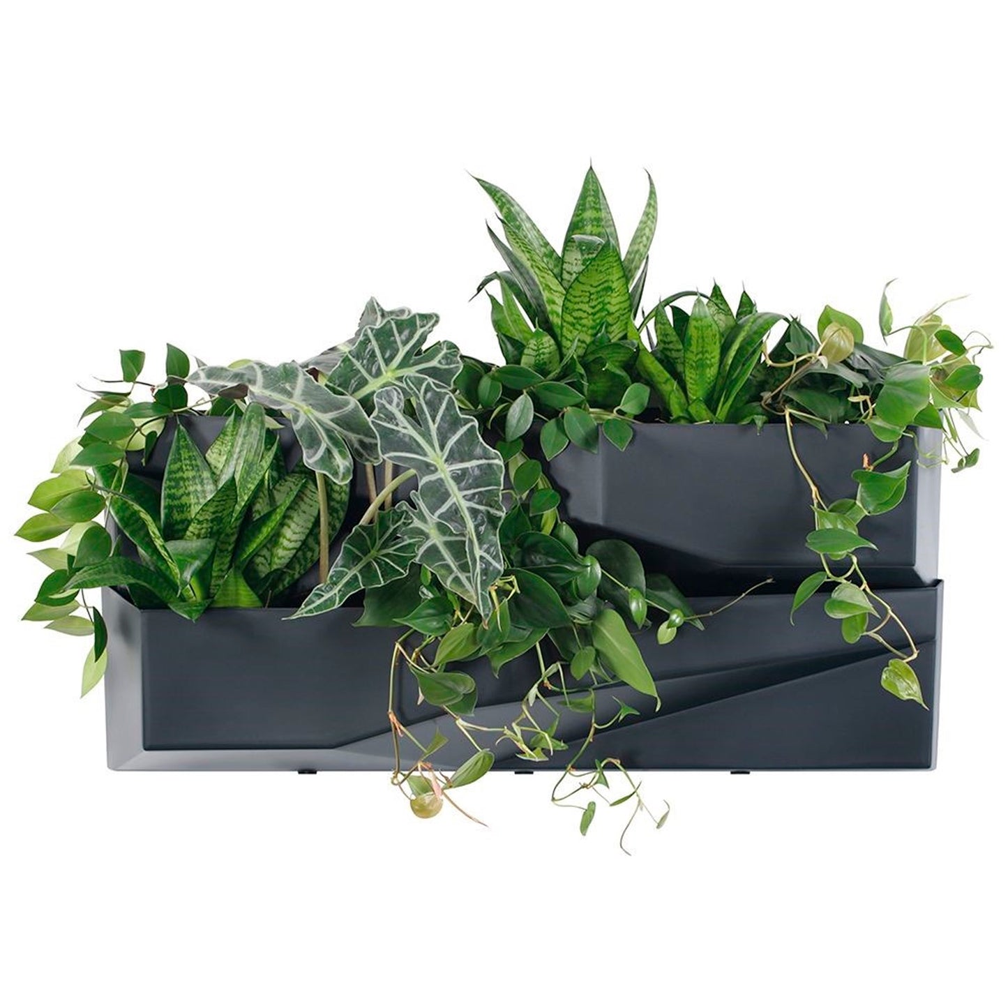 Set De 3 Herramientas De Jardín Cascade Garden Wall , Dimensiones (mm) 780x190x350, Color Antracita