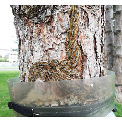 Trampa Collar Anti-orugas Procesionaria del Pino Ecopiege Ø 100 cm