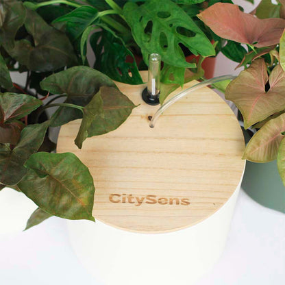 Kit De Riego Por Goteo Citysens Con Depósito Blanco Y 12 Goteros