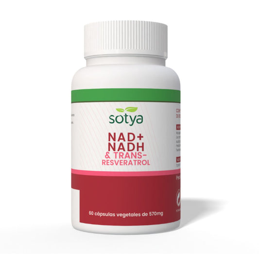 NAD Trans Resveratrol Sotya 60 cápsulas