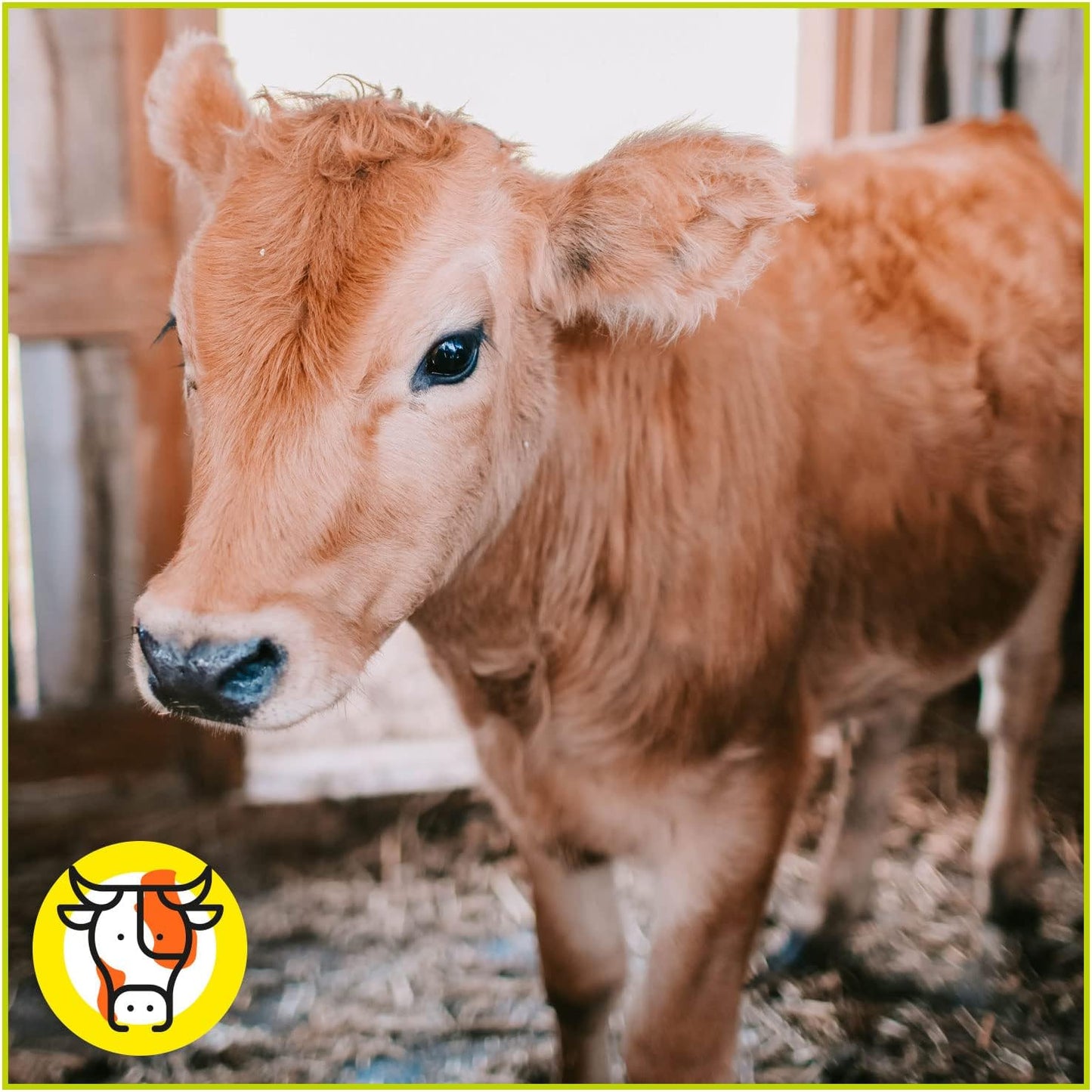 Pienso ECOLÓGICO para Terneros Crecimiento 20kg – Alimentación Natural y Completa_3