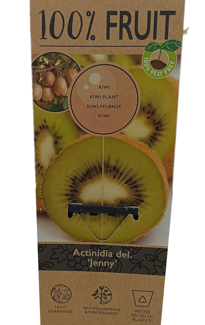 Kiwi Jenny M15_1
