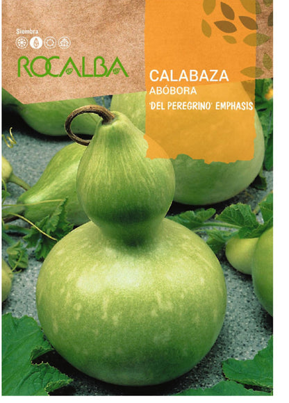 Semillas Calabaza Del Peregrino 3g