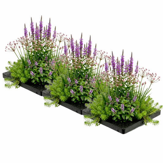 Isla Para Estanque Antimosquitos, 75 X 25 Cm - Set De 12 Plantas_0