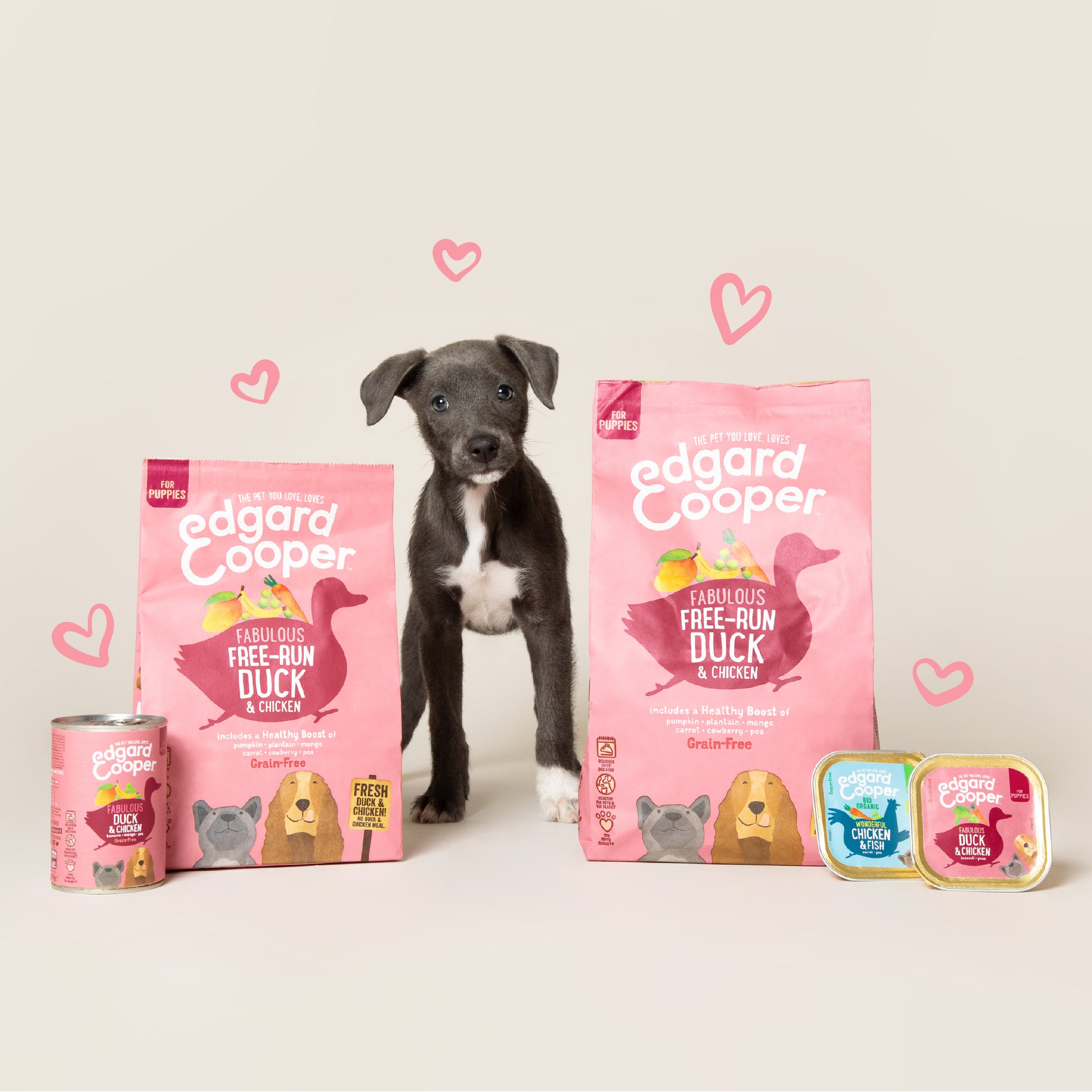 Lata de comida para cachorros de pato y pollo Sin Cereales | Edgard & Cooper 400 g