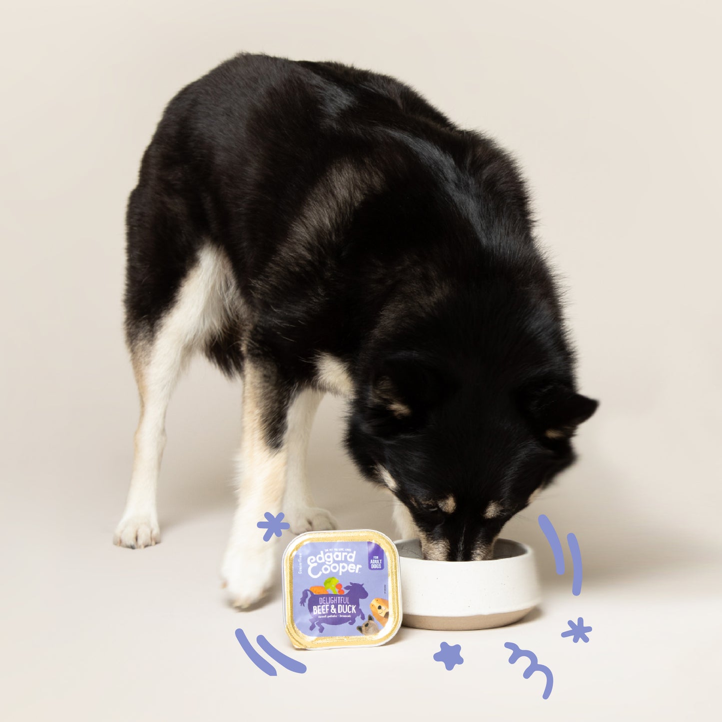 Tarrina de comida para perros con ternera y pato sin cereales | Edgard & Cooper 150 g