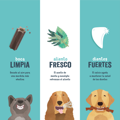 Dental de fresa y menta para perro adulto Edgard &amp; Cooper 175 g