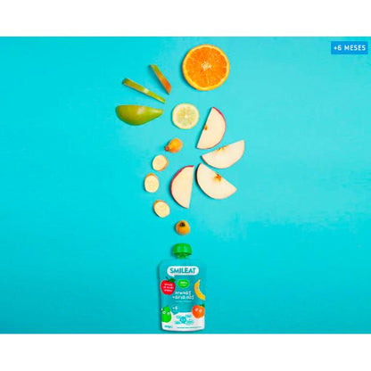 Pack 10 uds Pouches Fruta Variada Ecológico Smileat 100 g