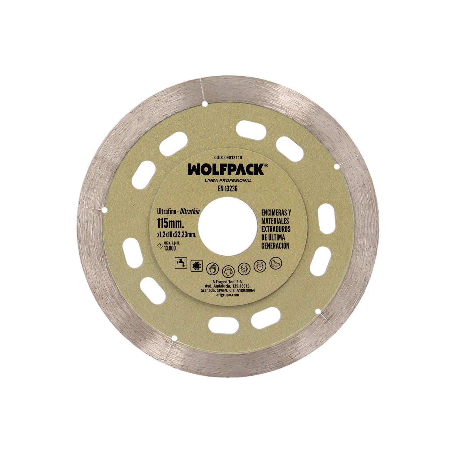 Disco Diamante Ø 115 Mm. Materiales De Ultima Generación. Segmento De 10 Mm.