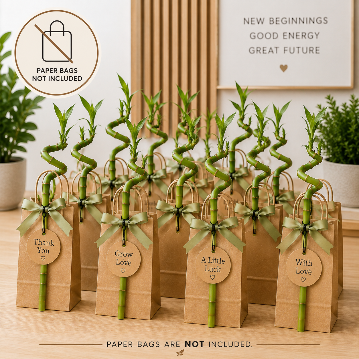 Lucky Bamboo Set De 30 Con Tarjetas - Dracaena Sanderiana - Regalo 40-45 Cm_2
