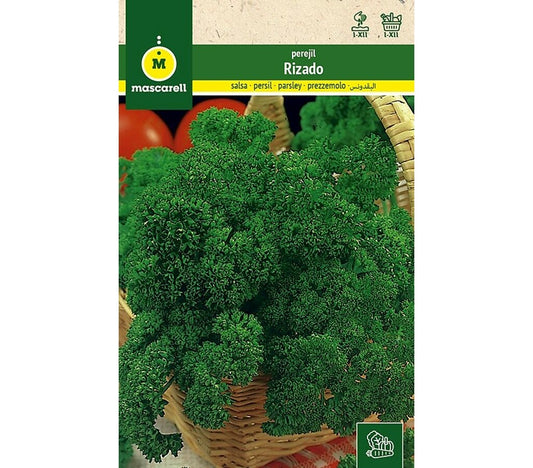 Semillas Perejil Rizado_0