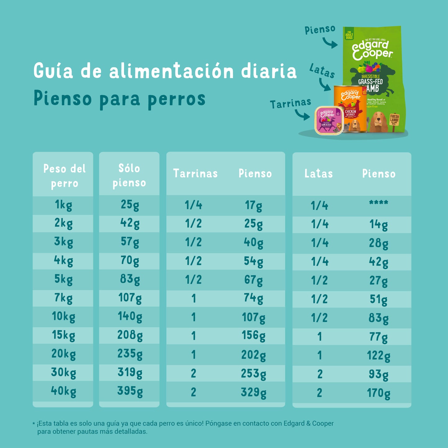 Tarrina de comida para perros con salmón y pavo sin cereales | Edgard & Cooper 150 g