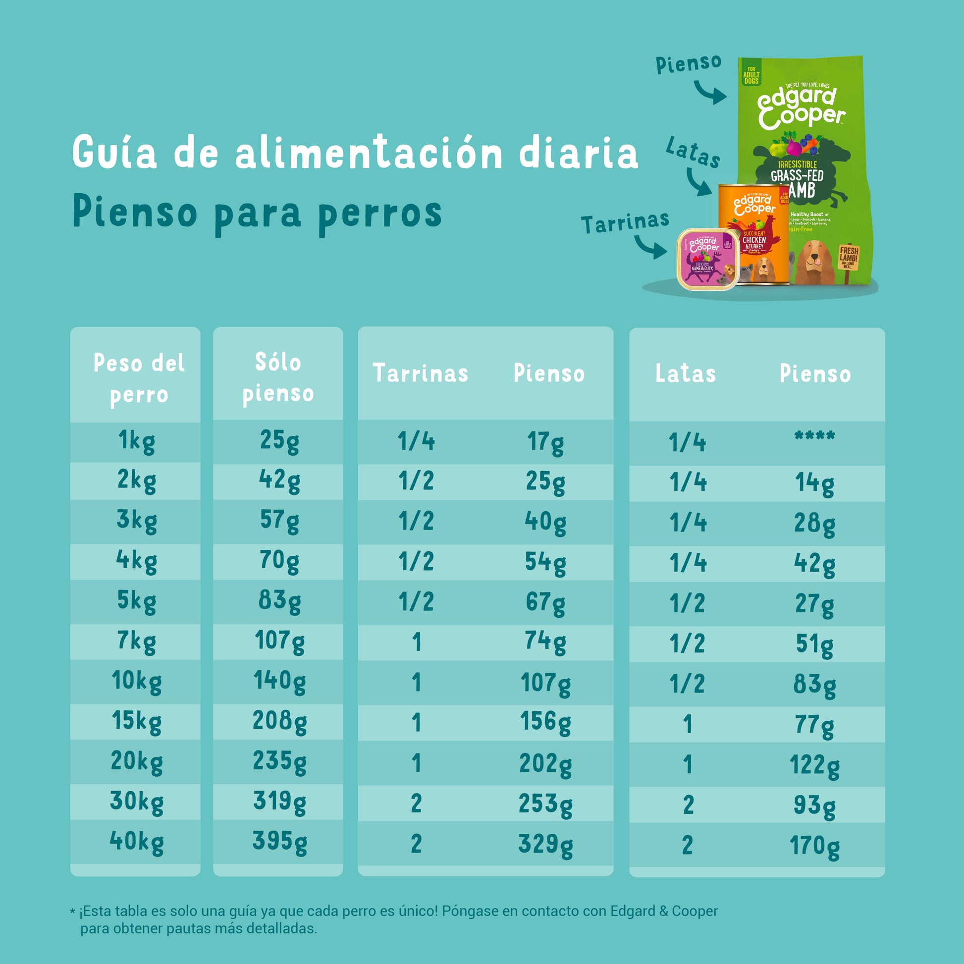 Tarrina de comida para perros con salmón y pavo sin cereales | Edgard & Cooper 150 g