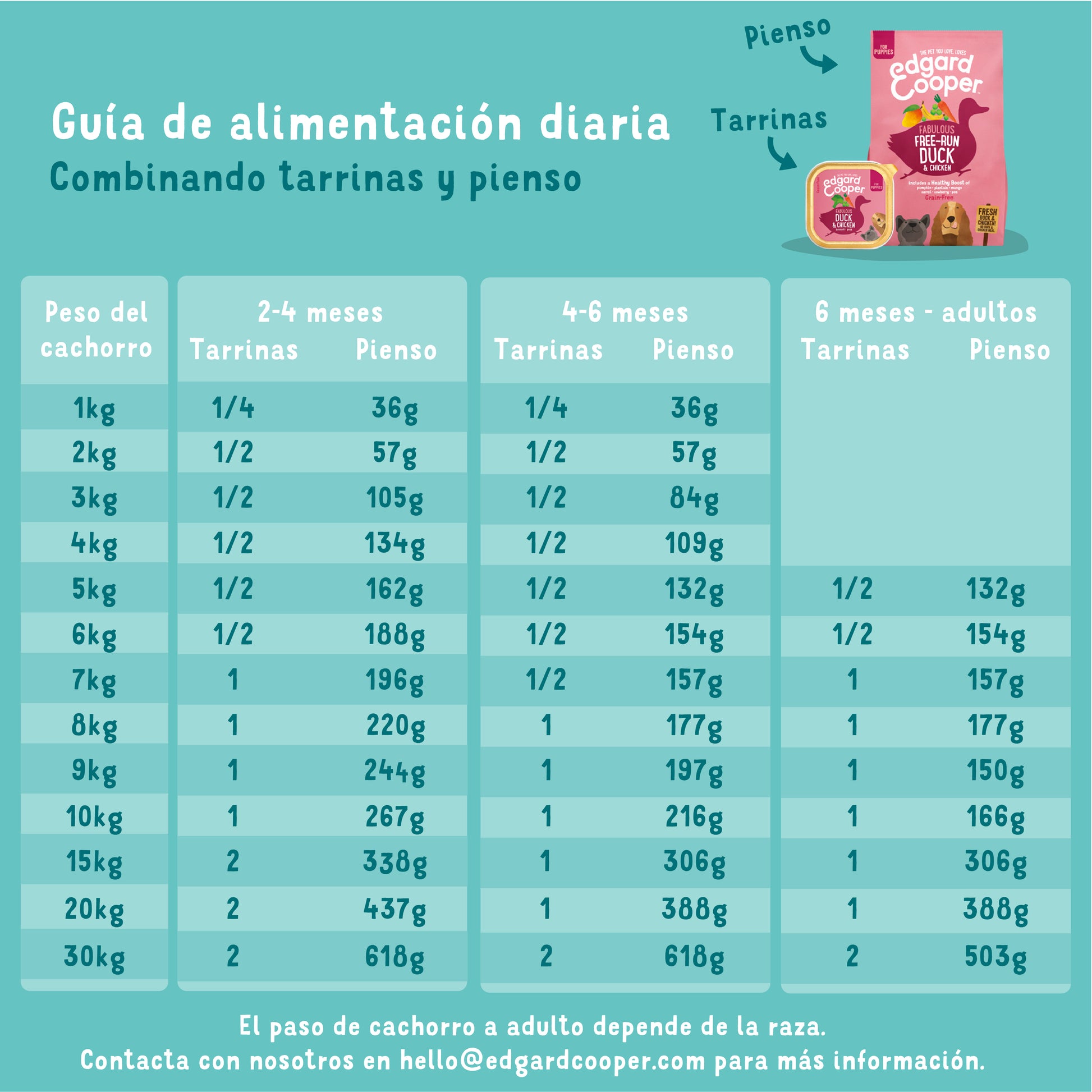 Tarrina de comida para perros con pavo orgánico sin cereales | Edgard & Cooper 100 g