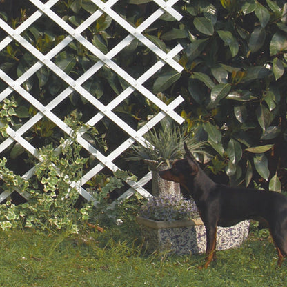 Celosia PVC Extensible 0,5x1,5 m blanco Trelliflex Nortene