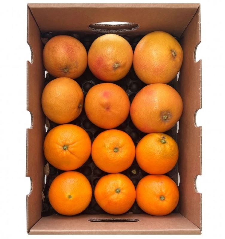 Mix Pomelos Y Naranjas Valencianas De Temporada Tropitop Caja 4kg_0