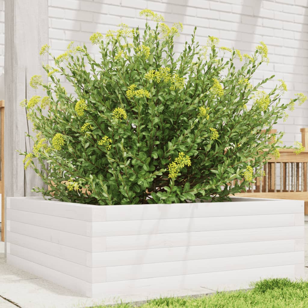 Jardinera De Madera Maciza De Pino Blanca 70x70x23 Cm_1