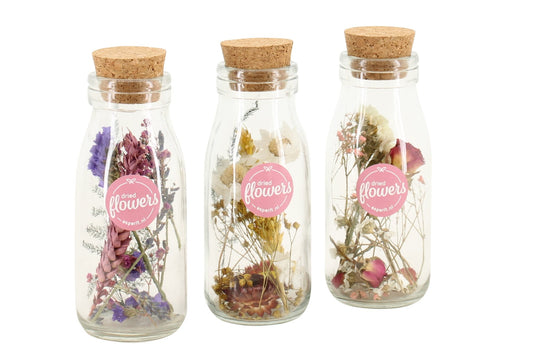 Flores Secas - 3 Pzs - Botellas Pequeñas_0