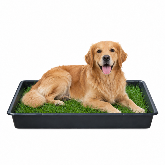 Petground, Cama Para Perros, Empapador, Alfombra Olfativa, Césped Natural, Xxl_0