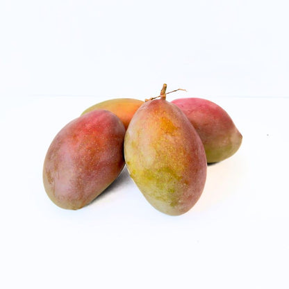 Mangos Osteen del campo a casa 1/2 Kg
