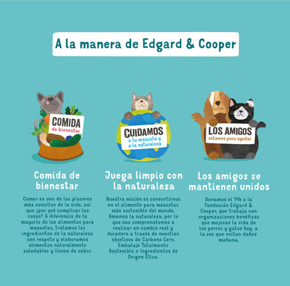 Tarrina de comida para perros con salmón y pavo sin cereales | Edgard & Cooper 150 g