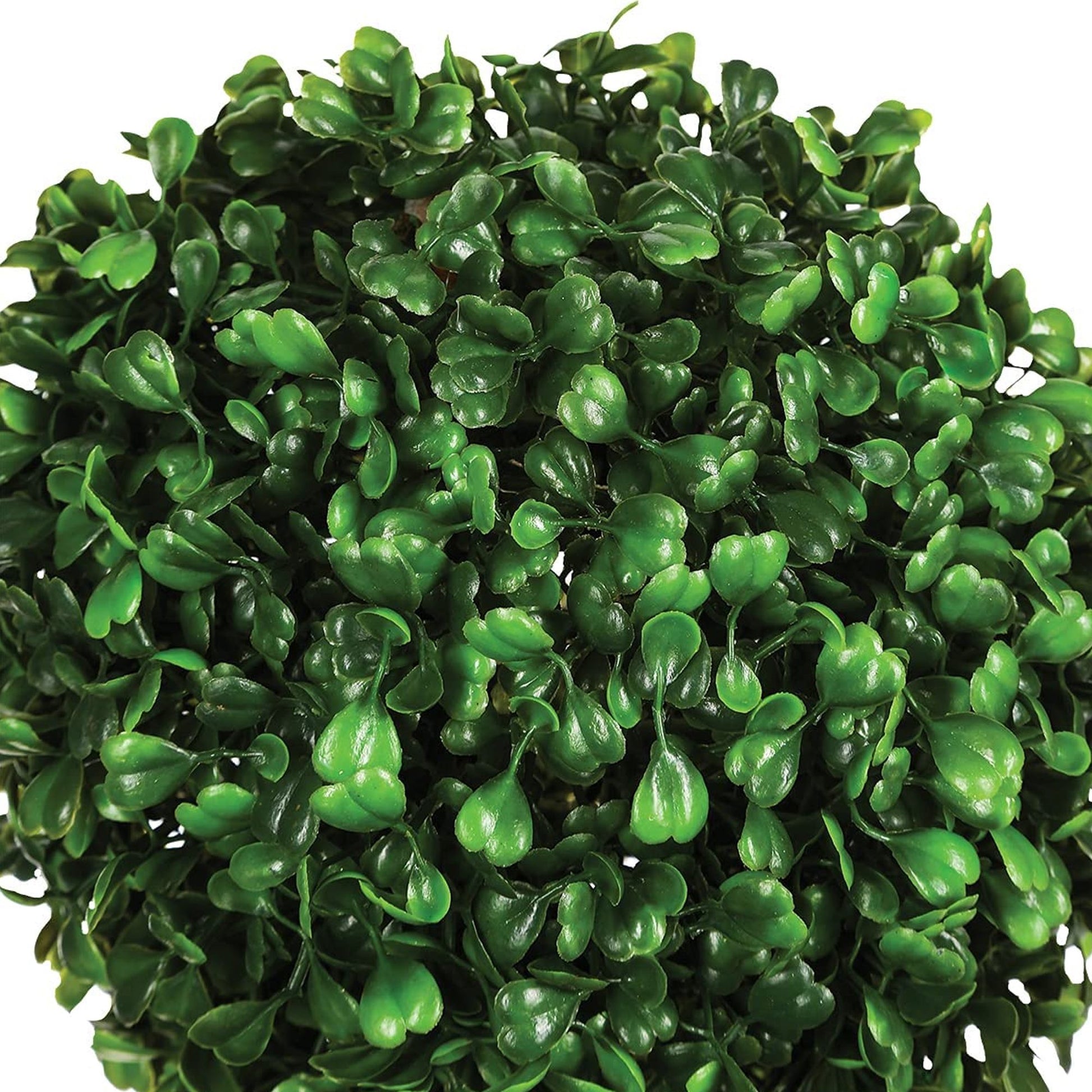 Bola De Boj En Cerámica Maceta L.19 X P.19 X A 38, Verde_2