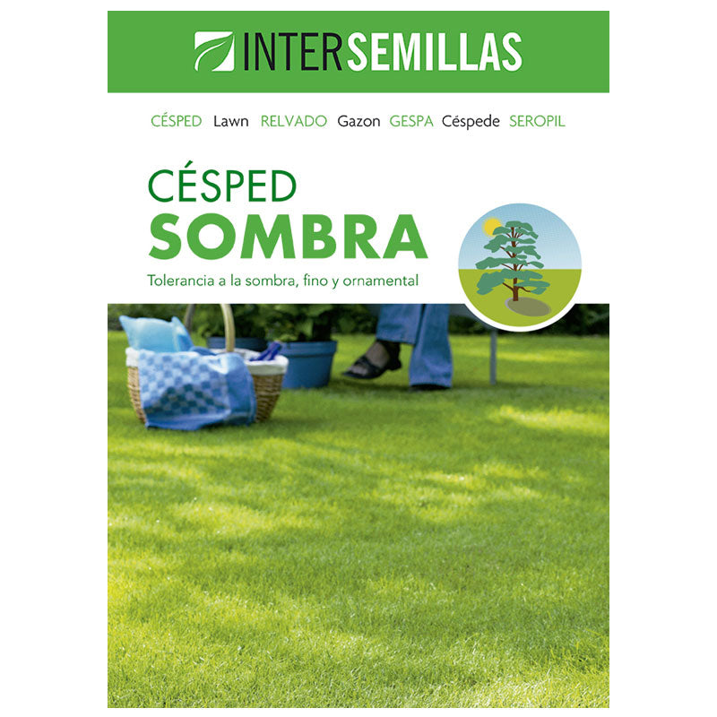 Semillas De Cesped Sombra Caja De 1 Kg.